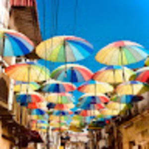 Meet your Posher, Utsa